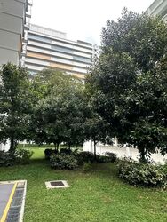 Blk 155 Jalan Teck Whye (Choa Chu Kang), HDB 5 Rooms #570701261